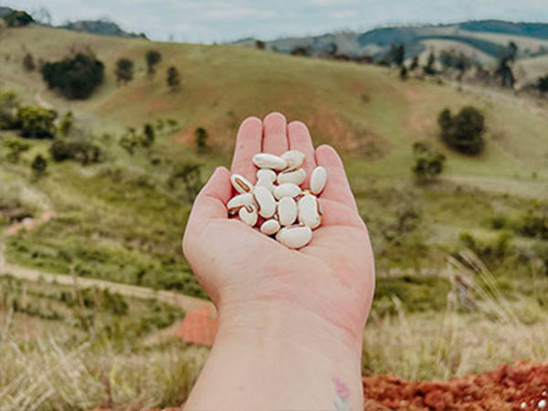  ______________________________________________________________________________ 