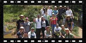 Pessoas famosas e influenciadores recebem presente de Associação Ambiental sem fins lucrativos