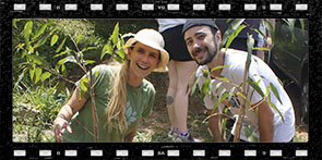 Projeto Adote uma Árvore dos famosos