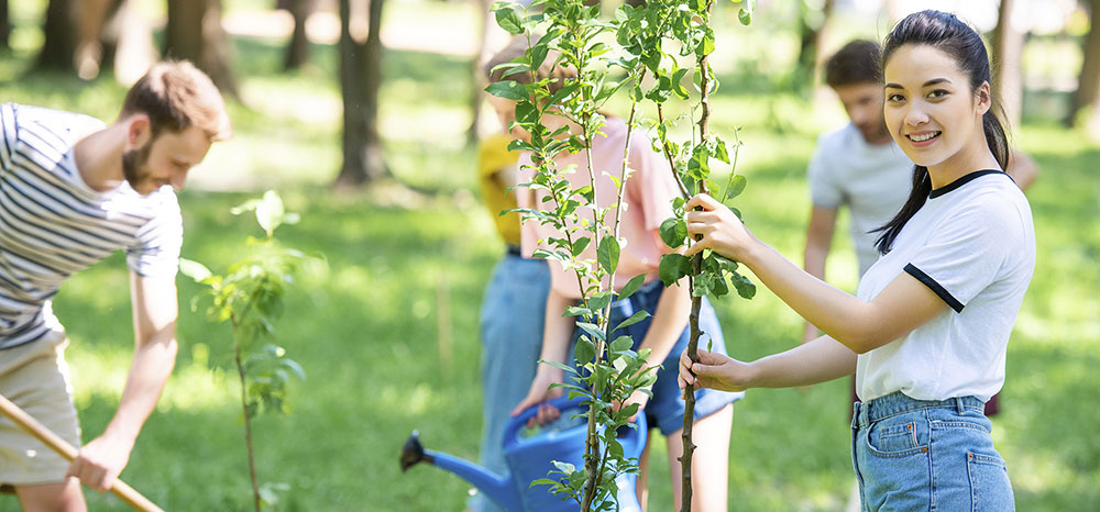 Banner do projeto Florestar da Associação Verde Esperança, com fundo natural e chamada para mutirões de plantio de mudas e sementes nativas em áreas degradadas do Sistema Cantareira.