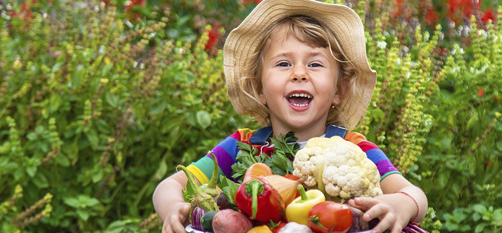 Banner do projeto Mãos na Terra da Associação Verde Esperança, com chamada para práticas de agroecologia, soberania alimentar e regeneração ecológica em comunidades.

