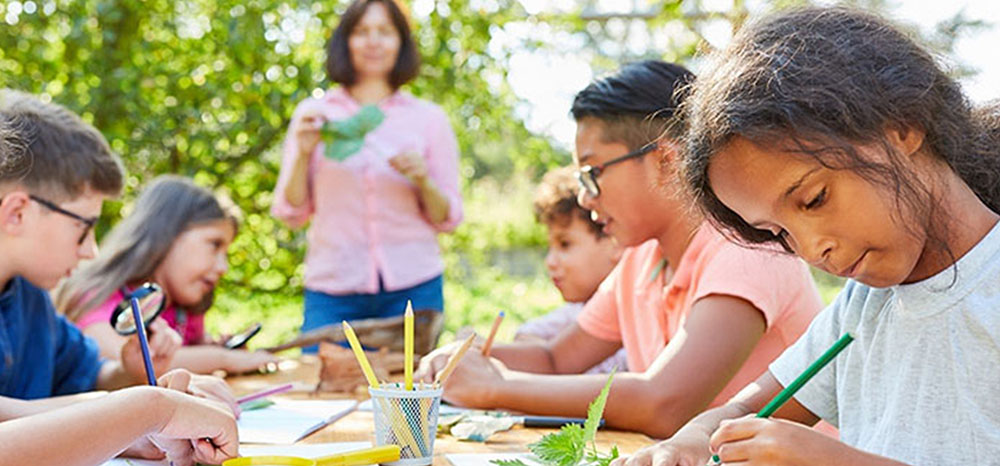 Banner do projeto MUDA da Associação Verde Esperança, com fundo de floresta e chamada para palestras sobre cultura, meio ambiente, saúde e cidadania.