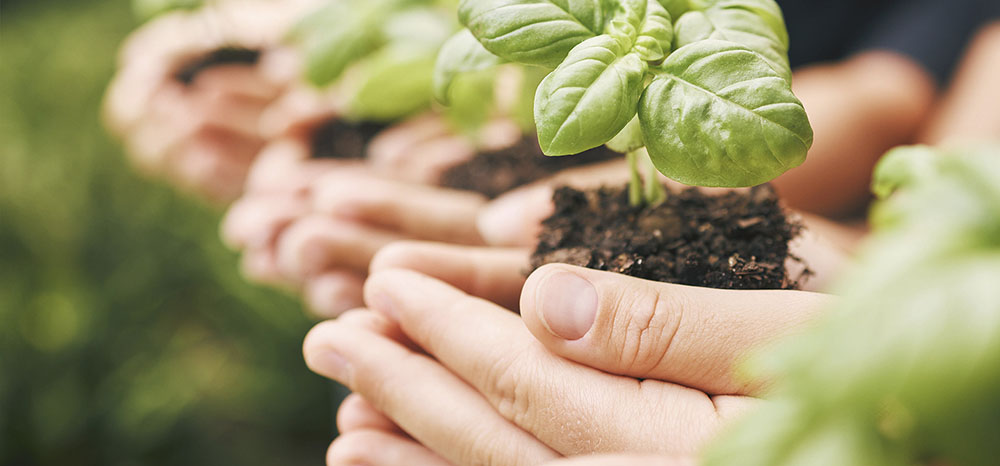 Banner do selo ESG Água Florestal, uma iniciativa da Associação Verde Esperança para obter participação de empresas, pessoas físicas, projetos e ongs para promover o reflorestamento de áreas degradadas e proteção de nascentes.
